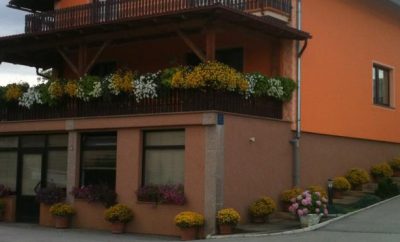 Apartman Pavlešić***