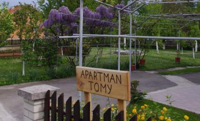Apartment Tomy***