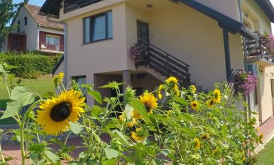 Apartment & Rooms Ante***