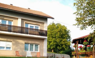 Apartman i Sobe Vesna***
