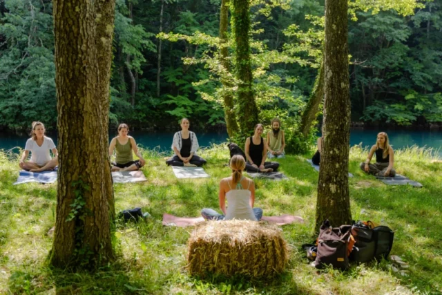 Yoga Wellbeing: Yoga